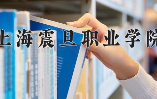 2025年上海震旦职业学院在新疆计划招生人数（附学费及专业录取分)