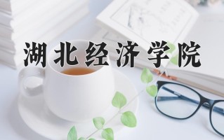 2025年湖北经济学院在四川计划招生人数（附学费及专业录取分)