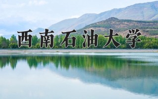 2025年西南石油大学在新疆计划招生人数（附学费及专业录取分)