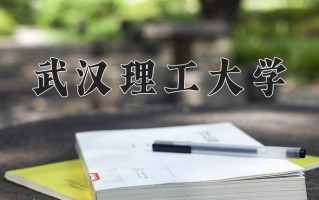 2025年武汉理工大学在河南计划招生人数（附学费及专业录取分)