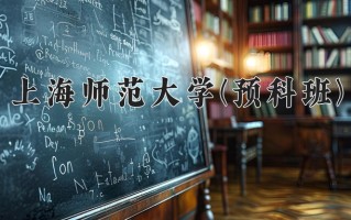 2024上海师范大学(预科班)录取分数线，重庆录取最低分541