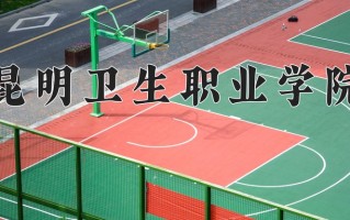2024年昆明卫生职业学院招生章程，附办学层次和录取规则