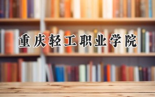 2024重庆轻工职业学院录取分数线：山西最低217分