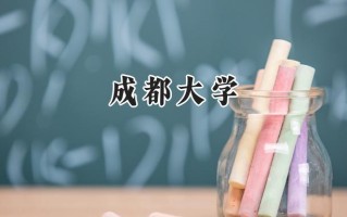 成都大学2024在新疆录取分数线是多少？最低440分/最高479分