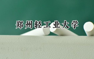 郑州轻工业大学2024在青海录取分数线是多少？最低384分/最高446分