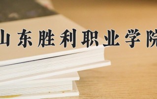 2024年山东胜利职业学院招生章程，附办学层次和录取规则