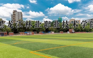黑龙江林业职业技术学院一年学费多少钱及各专业的收费标准(2025参考）