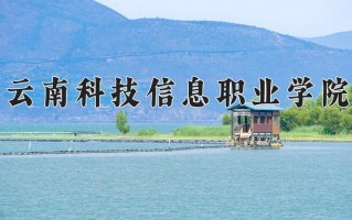 2024年云南科技信息职业学院招生章程，附办学层次和录取规则