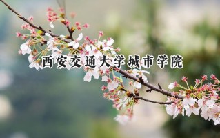 西安交通大学城市学院2024在福建录取分数线是多少？最低432分/最高494分