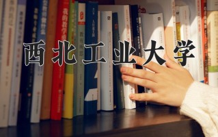 2025年西北工业大学在四川计划招生人数（附学费及专业录取分)