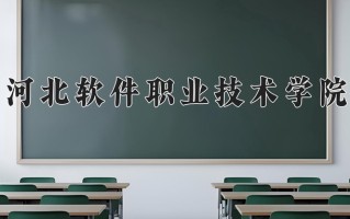 2024河北软件职业技术学院录取分数线，重庆录取最低分325