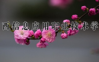 2024年江西信息应用职业技术学院招生章程，附办学层次和录取规则