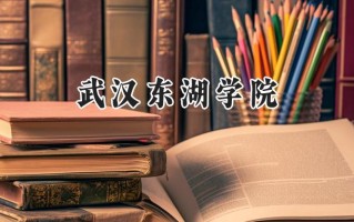 武汉东湖学院2024在江苏录取分数线是多少？最低264分/最高490分