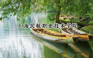上海民航职业技术学院2024在山东录取分数线是多少？最低233分/最高469分