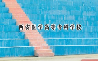 西安医学高等专科学校2024在青海录取分数线是多少？最低290分/最高387分