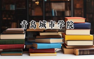 青岛城市学院2024在福建录取分数线是多少？最低412分/最高475分
