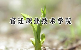 2024宿迁职业技术学院录取分数线：陕西最低308分