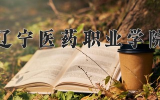 2025年辽宁医药职业学院在新疆计划招生人数（附学费及专业录取分)