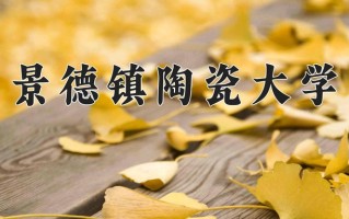 2024年景德镇陶瓷大学招生章程，附办学层次和录取规则