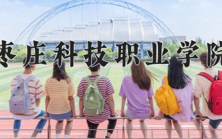 2024年枣庄科技职业学院招生章程，附办学层次和录取规则