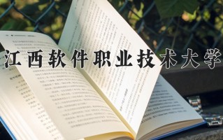 云南290分能上什么大学？附2025年可以报考的大学名单