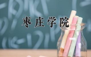 2024年枣庄学院招生章程，附办学层次和录取规则