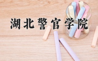 湖北警官学院一年学费多少钱及各专业的收费标准(2025参考）