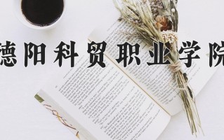 2025年德阳科贸职业学院在新疆计划招生人数（附学费及专业录取分)