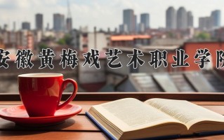 2024年安徽黄梅戏艺术职业学院招生章程，附办学层次和录取规则