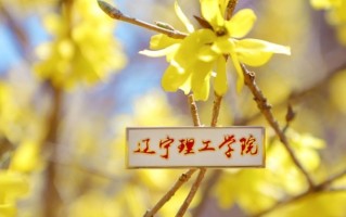 河南高考470分文科分能上什么大学？附2024年能上的院校名单