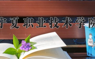 2025年宁夏职业技术学院在河南计划招生人数（附学费及专业录取分)