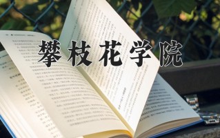 2025年攀枝花学院在河南计划招生人数（附学费及专业录取分)