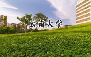 云南大学2024在青海录取分数线是多少？最低447分/最高510分