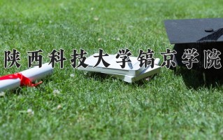 2025年陕西科技大学镐京学院在新疆计划招生人数（附学费及专业录取分)