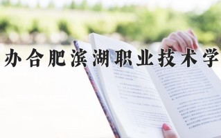 民办合肥滨湖职业技术学院一年学费多少钱及各专业的收费标准(2025参考）