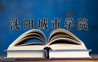 2025年沈阳城市学院在四川计划招生人数（附学费及专业录取分)