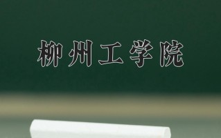 2024年柳州工学院招生章程，附办学层次和录取规则