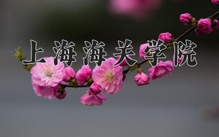 2025年上海海关学院在河南计划招生人数（附学费及专业录取分)