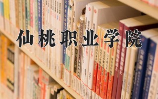 2024年仙桃职业学院招生章程，附办学层次和录取规则
