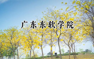2024广东东软学院录取分数线：江苏最低463分
