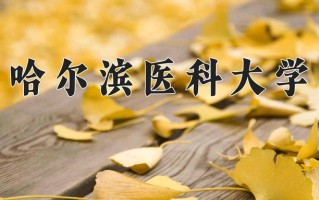 2024哈尔滨医科大学排名-最新全国排名第102位
