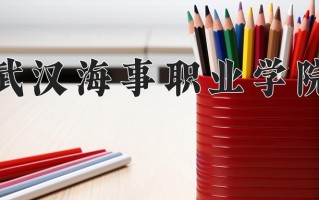 2025年武汉海事职业学院在河南计划招生人数（附学费及专业录取分)