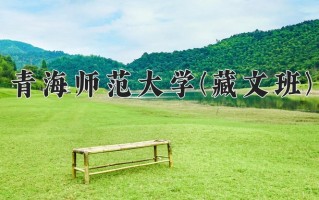 青海师范大学(藏文班)一年学费多少钱及各专业的收费标准(2025参考）