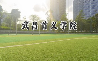 武昌首义学院2024在青海录取分数线是多少？最低341分/最高431分