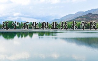 辽宁石化职业技术学院一年学费多少钱及各专业的收费标准(2025参考）