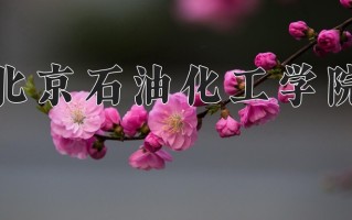 2024年北京石油化工学院招生章程，附办学层次和录取规则