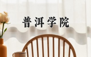2025年普洱学院在四川计划招生人数（附学费及专业录取分)