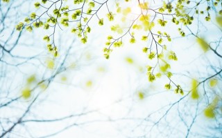 谷雨一般在农历几月？暮春三月与公历四月的关系【谷雨一般在农历几月】