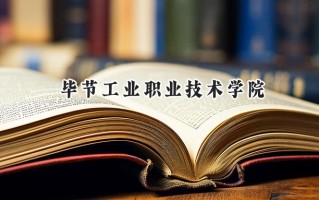 2024毕节工业职业技术学院录取分数线：河南最低185分