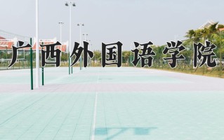 2024广西外国语学院录取分数线，重庆录取最低分428